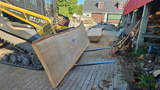 White Oak Slab 141"x31"-44"x2.75"